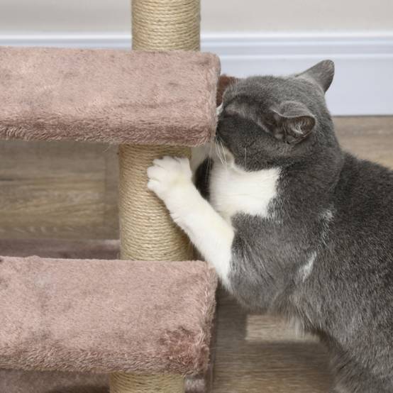 Arbre à chat avec escalier pour animaux, 3 marches, balle de jeu, jusqu'à 5 kg, 45 x 40 x 48 cm, marron - Image 7
