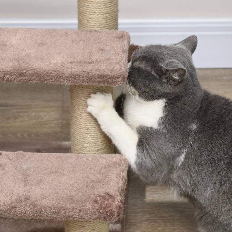 Arbre à chat avec escalier pour animaux, 3 marches, balle de jeu, jusqu'à 5 kg, 45 x 40 x 48 cm, marron - Image 7