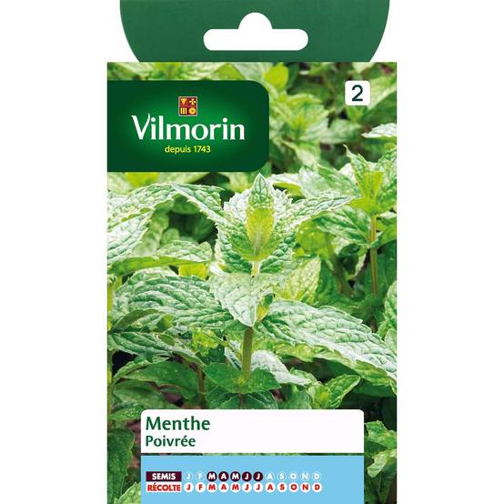 Menthe poivrée le sachet de 2000 graines environ (0,2g)