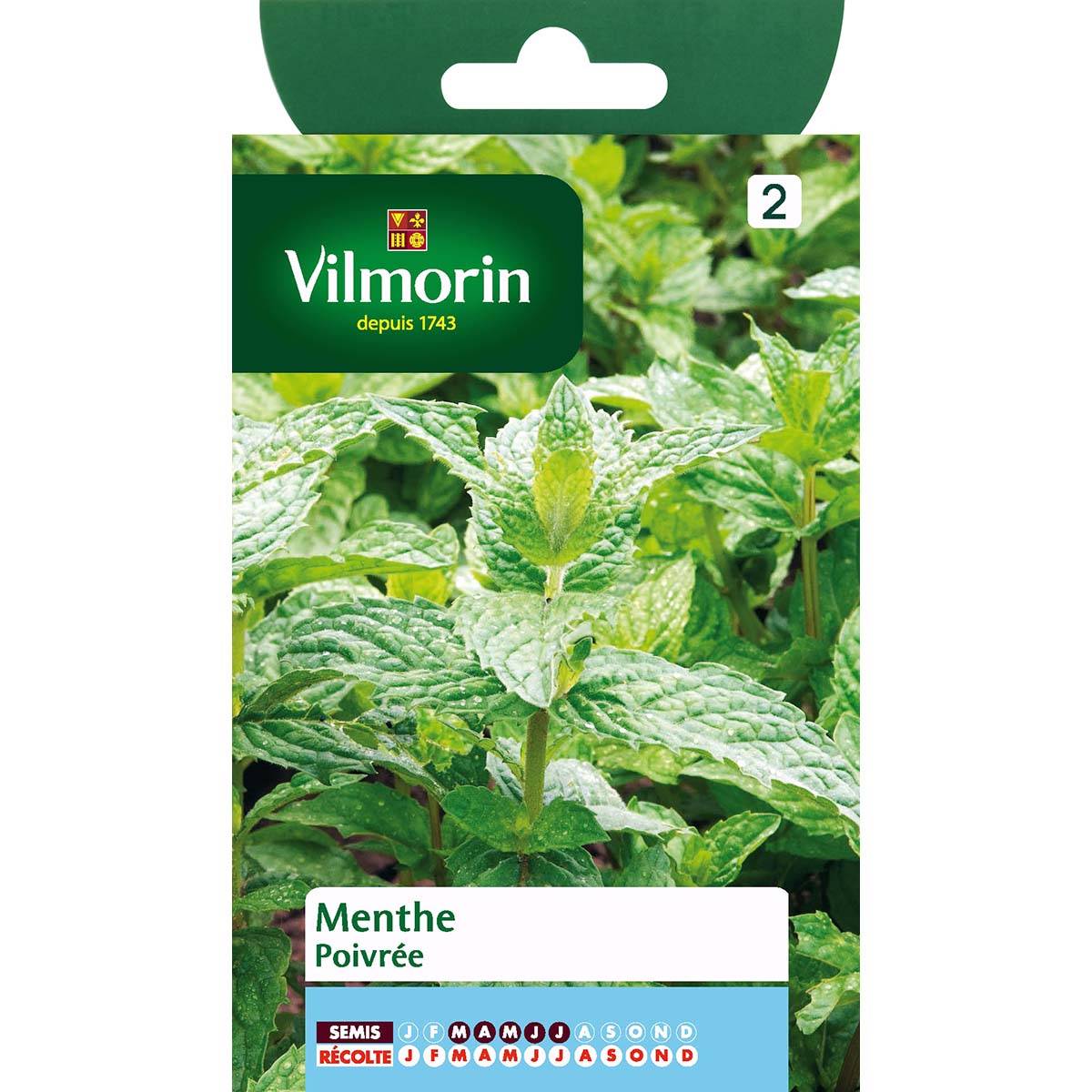 Menthe poivrée le sachet de 2000 graines environ (0,2g)