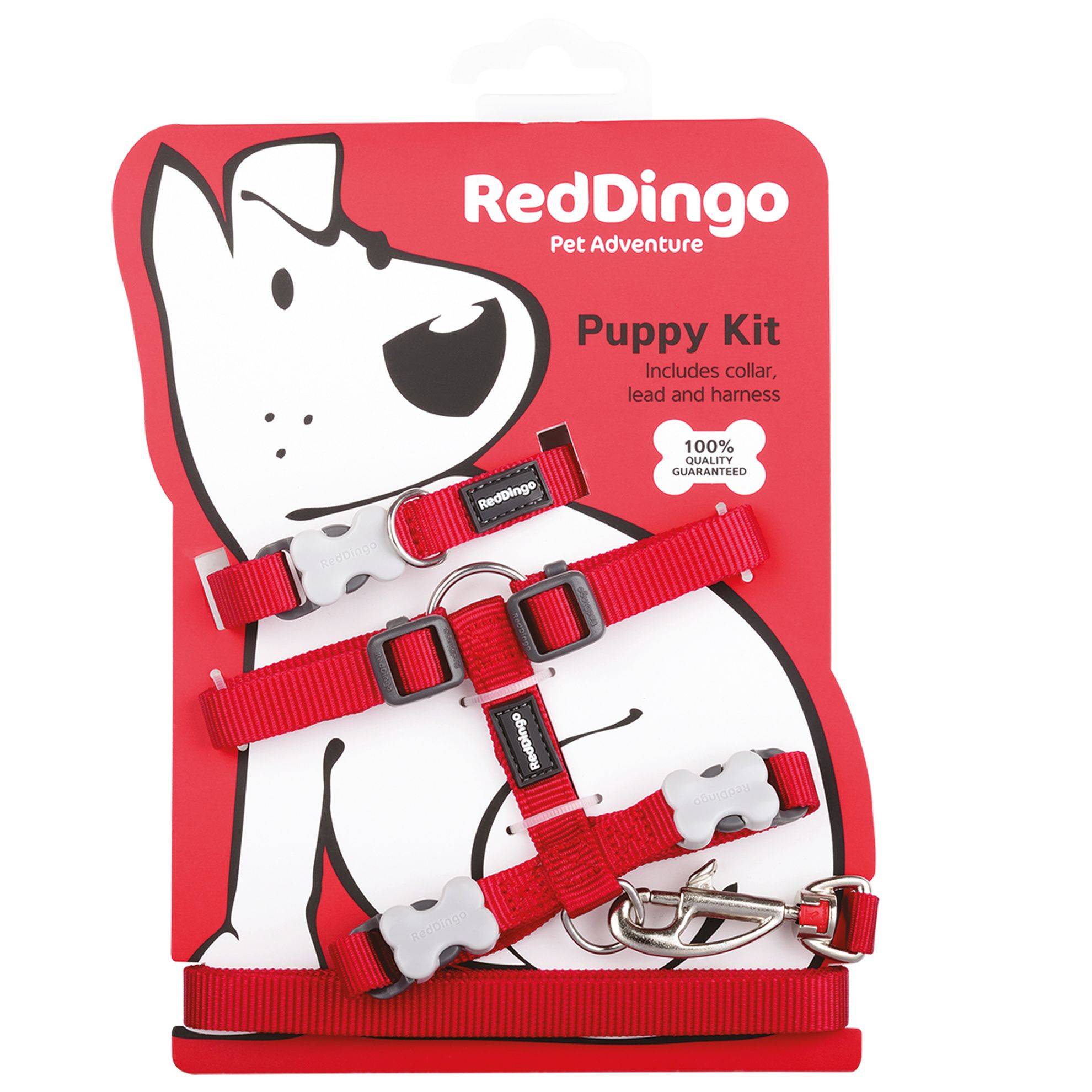Pack Chiot Red Dingo rouge RED DINGO