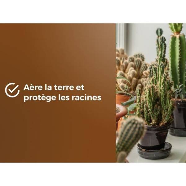 Or Brun - Substrat Cactus Et Plantes Grasse Uab 6 L / Nc - Or Brun - Image 4