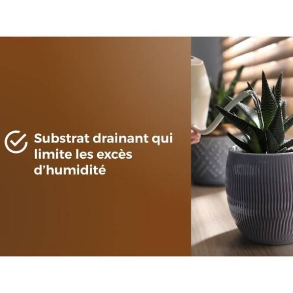 Or Brun - Substrat Cactus Et Plantes Grasse Uab 6 L / Nc - Or Brun - Image 5