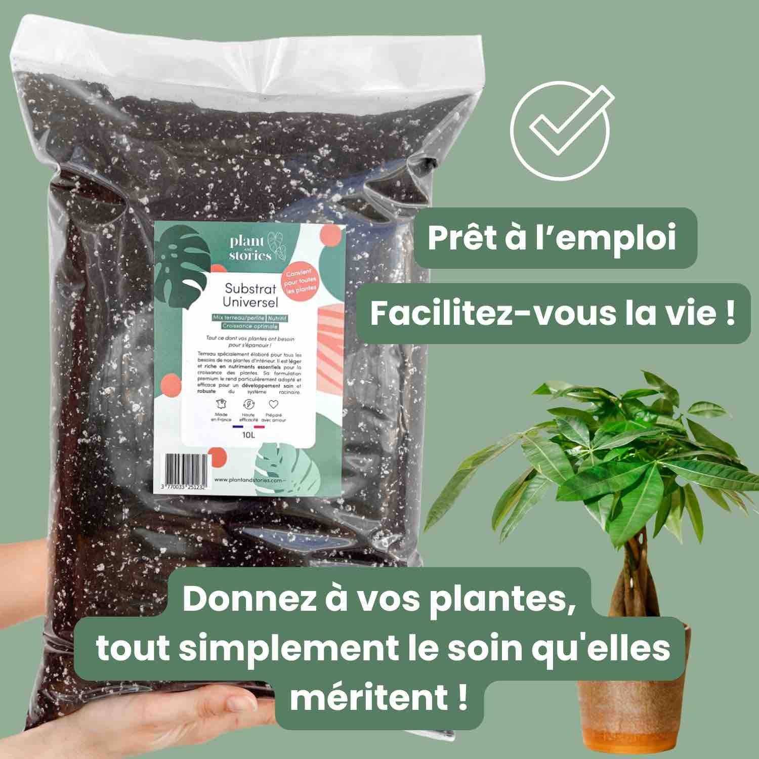Substrat Universel enrichi en Mycorhize et Bacillus - Qualité Supérieure - Terreau universel - 4L - Image 7