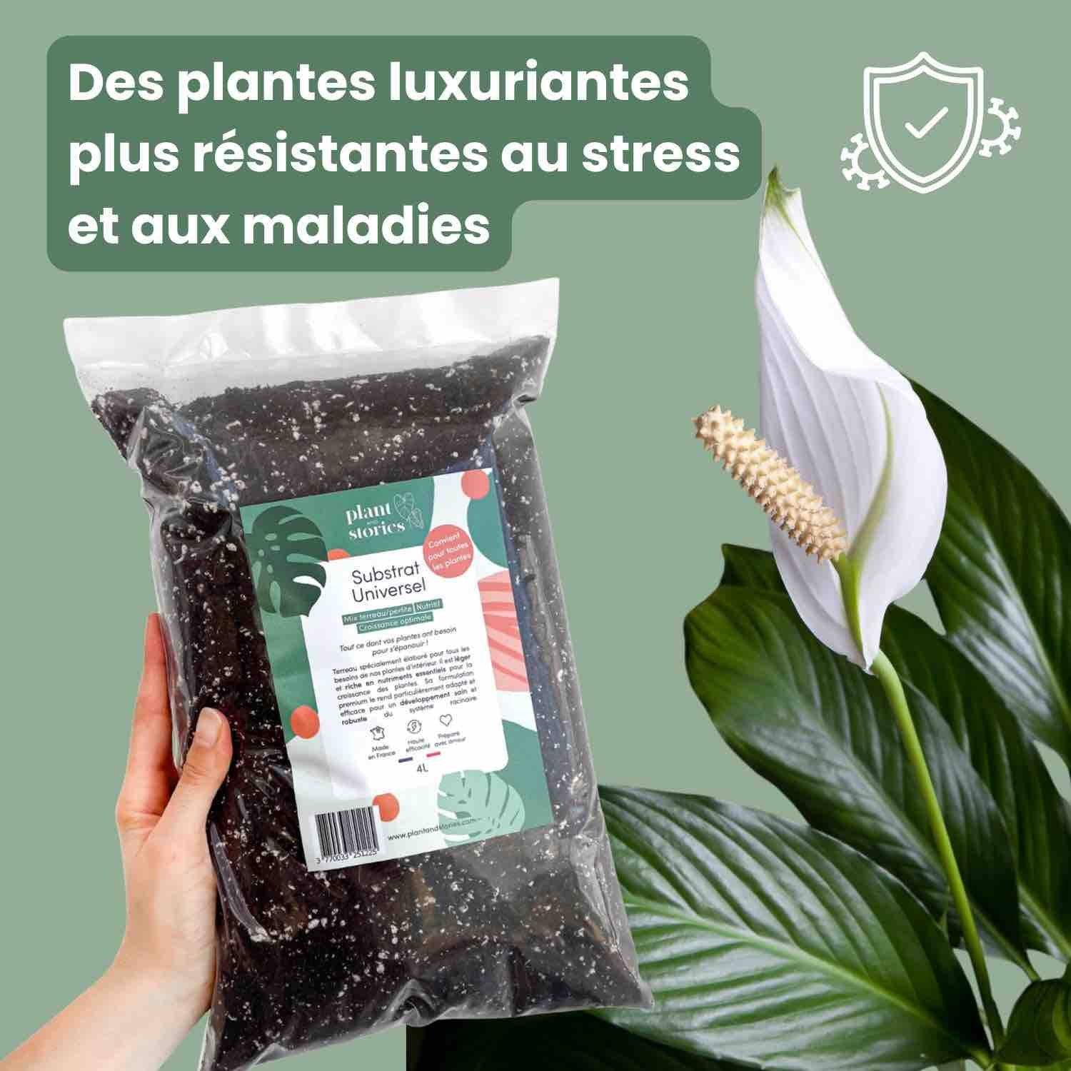 Substrat Universel enrichi en Mycorhize et Bacillus - Qualité Supérieure - Terreau universel - 4L - Image 5