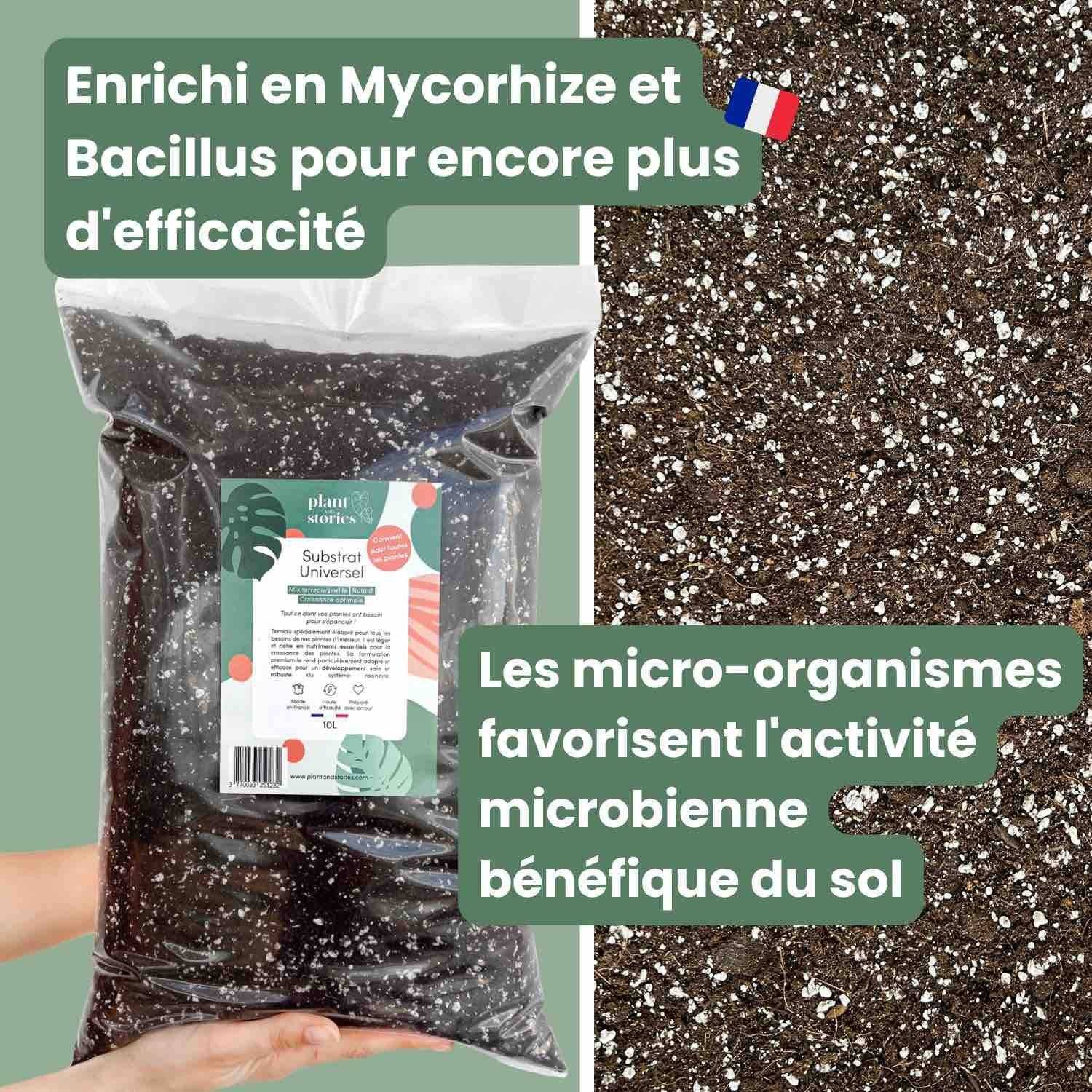 Substrat Universel enrichi en Mycorhize et Bacillus - Qualité Supérieure - Terreau universel - 4L - Image 2