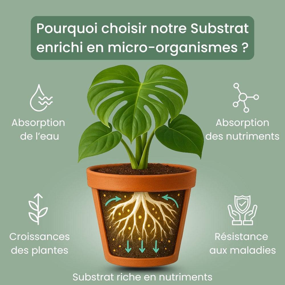 Substrat Universel enrichi en Mycorhize et Bacillus - Qualité Supérieure - Terreau universel - 4L - Image 3