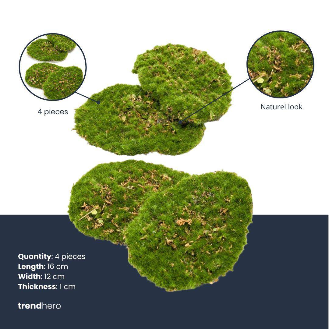 PANGIVO - Plaques de mousse synthétique vert 16 x 12 x 1 cm - PANGIVO - Image 4