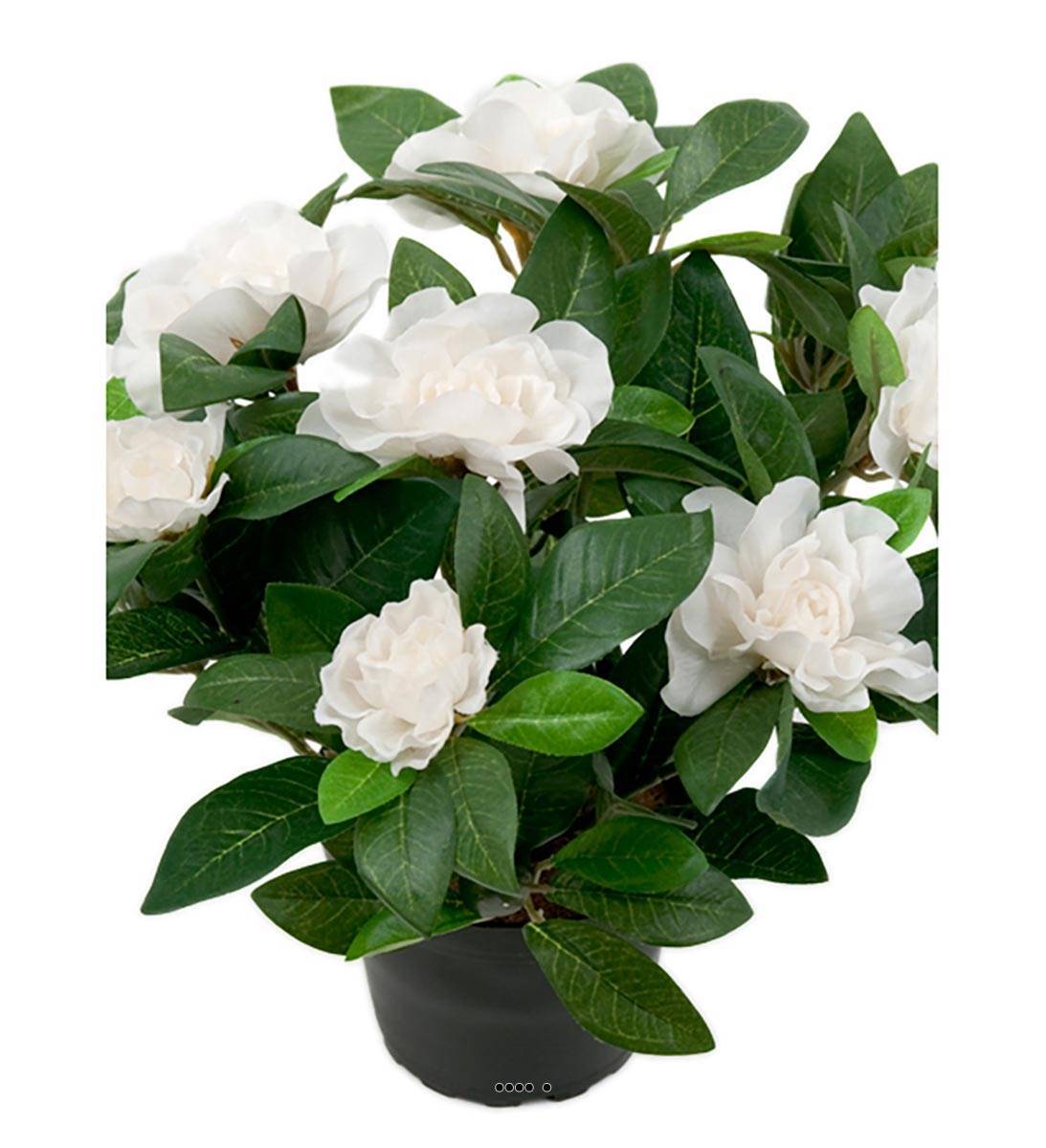 Artificielles - Gardenia Plante fleurie artificielle 8 fleurs H 25 cm en pot