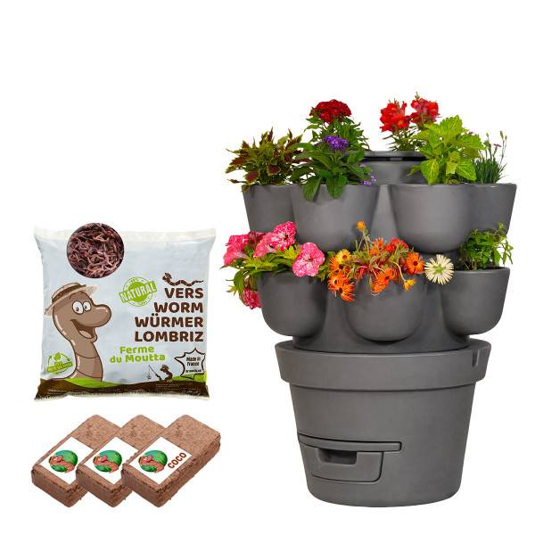 WORMgarden Gris 2 jardinières + 250gr de Vers - Image 1