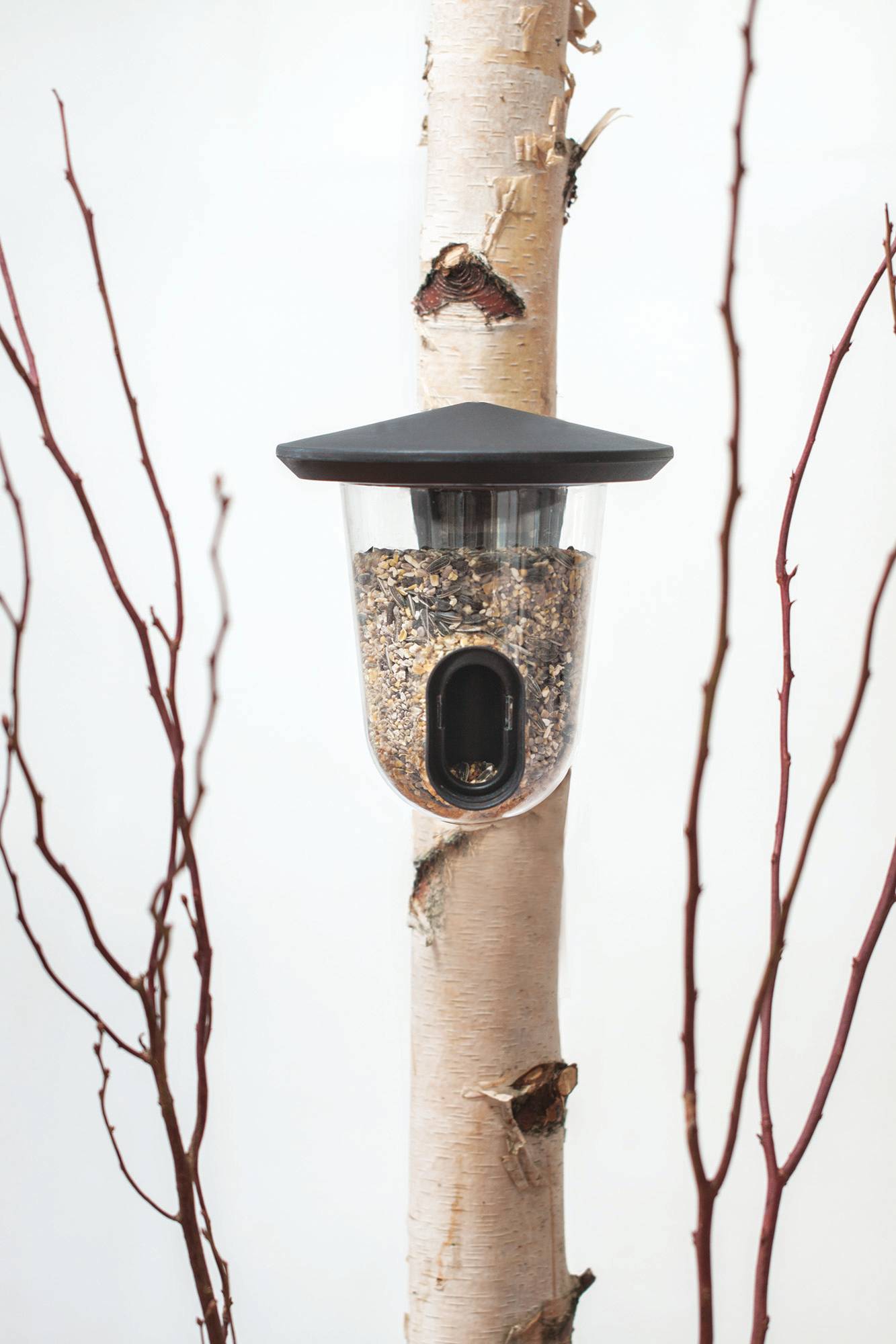 Mangeoire  pour oiseaux - pour graines FEEDR 18.5x18.5x19cm gris - SF - Imagen 1
