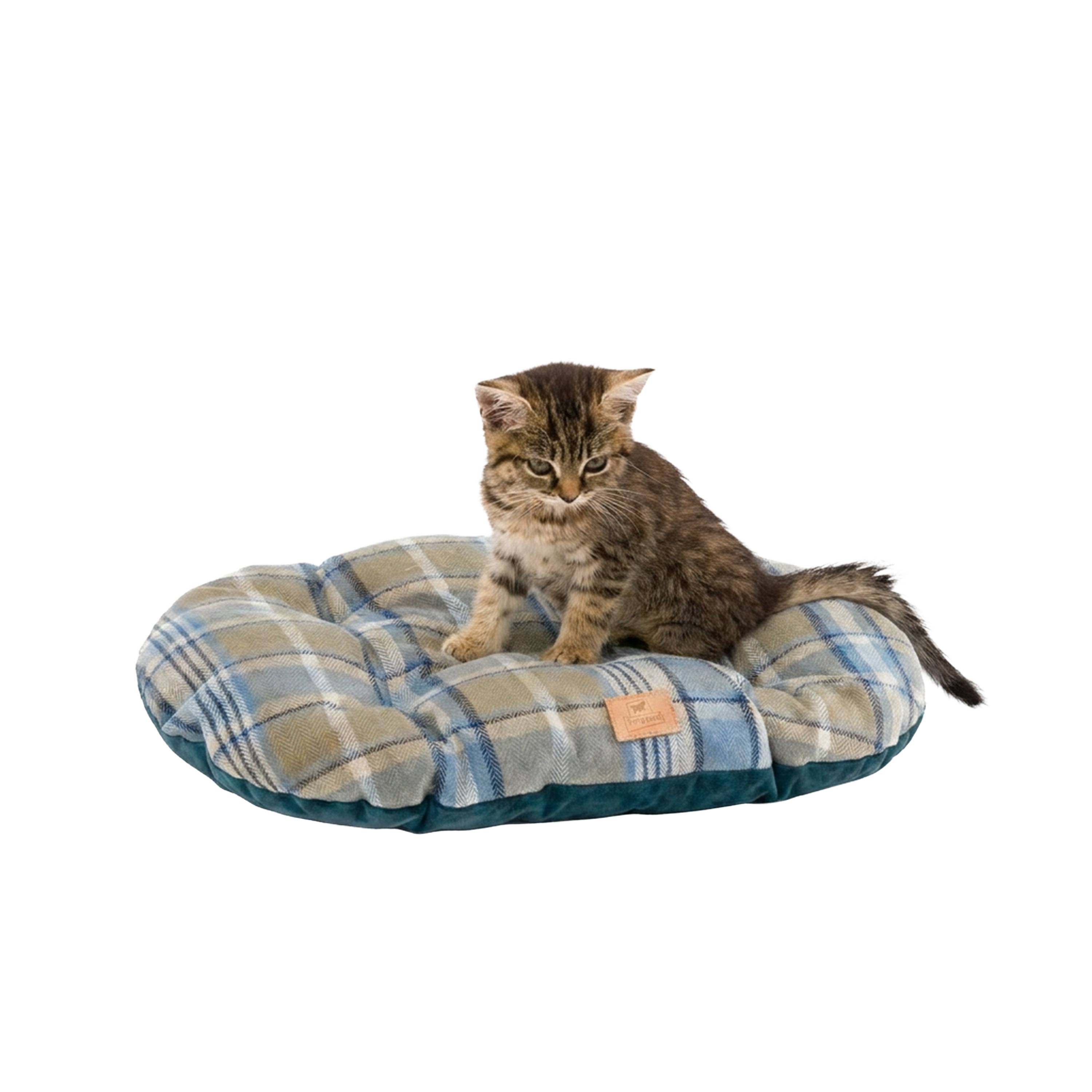 Ferplast - Coussin rembourré pour chiens et chats SCOTT 45/2, double-face, écossais, velours doux, lavable, Bleu - Imagen 5