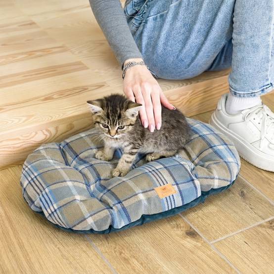 Ferplast - Coussin rembourré pour chiens et chats SCOTT 45/2, double-face, écossais, velours doux, lavable, Bleu - Imagen 4