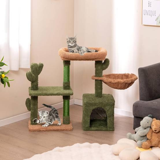 COSTWAY Arbre à Chat Cactus 81 cm, Tour pour Chat à 4 Étages, 3 Plateformes, Petit Arbre à Chat, Poteaux à Griffer en Sisal, Coussin Amovible, Vert - Image 2