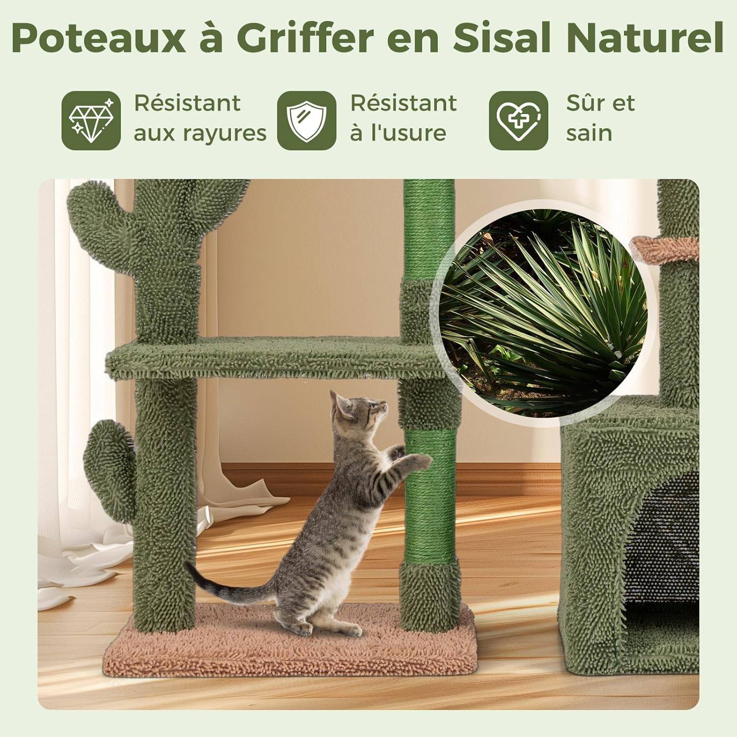 COSTWAY Arbre à Chat Cactus 81 cm, Tour pour Chat à 4 Étages, 3 Plateformes, Petit Arbre à Chat, Poteaux à Griffer en Sisal, Coussin Amovible, Vert - Image 6