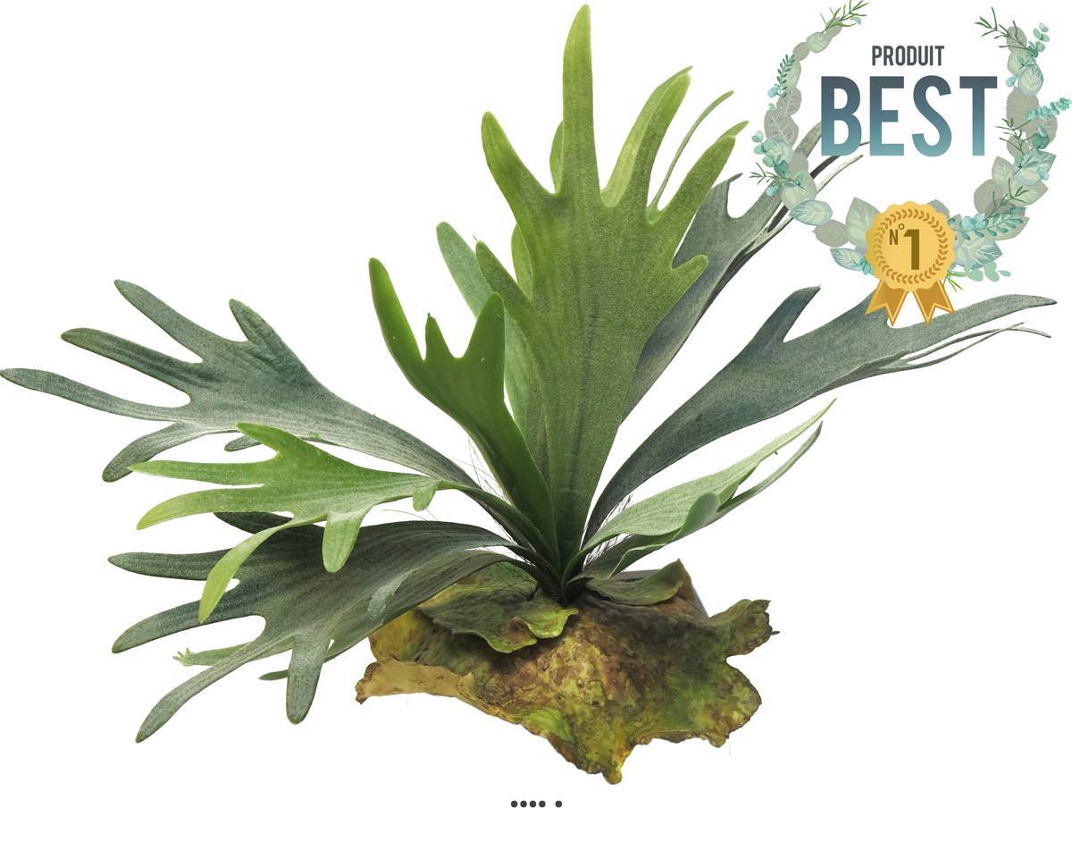 Artificielles - Fougère Platycerium factice sr socle imitation mousse H27cm D35cm-BEST - dimhaut: H 27 cm - couleur: Vert - Imagen 1