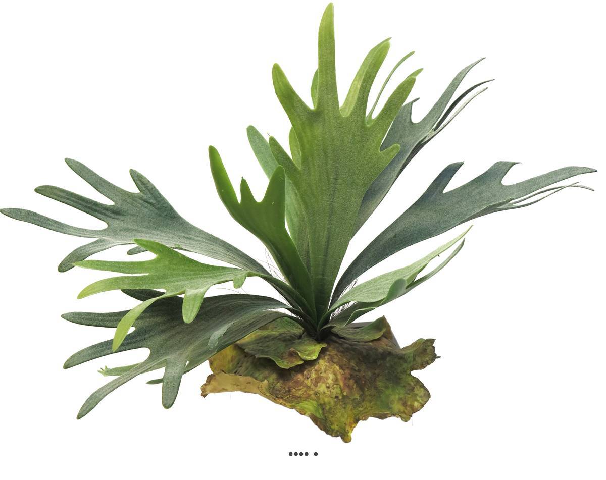 Artificielles - Fougère Platycerium factice sr socle imitation mousse H27cm D35cm-BEST - dimhaut: H 27 cm - couleur: Vert - Imagen 2