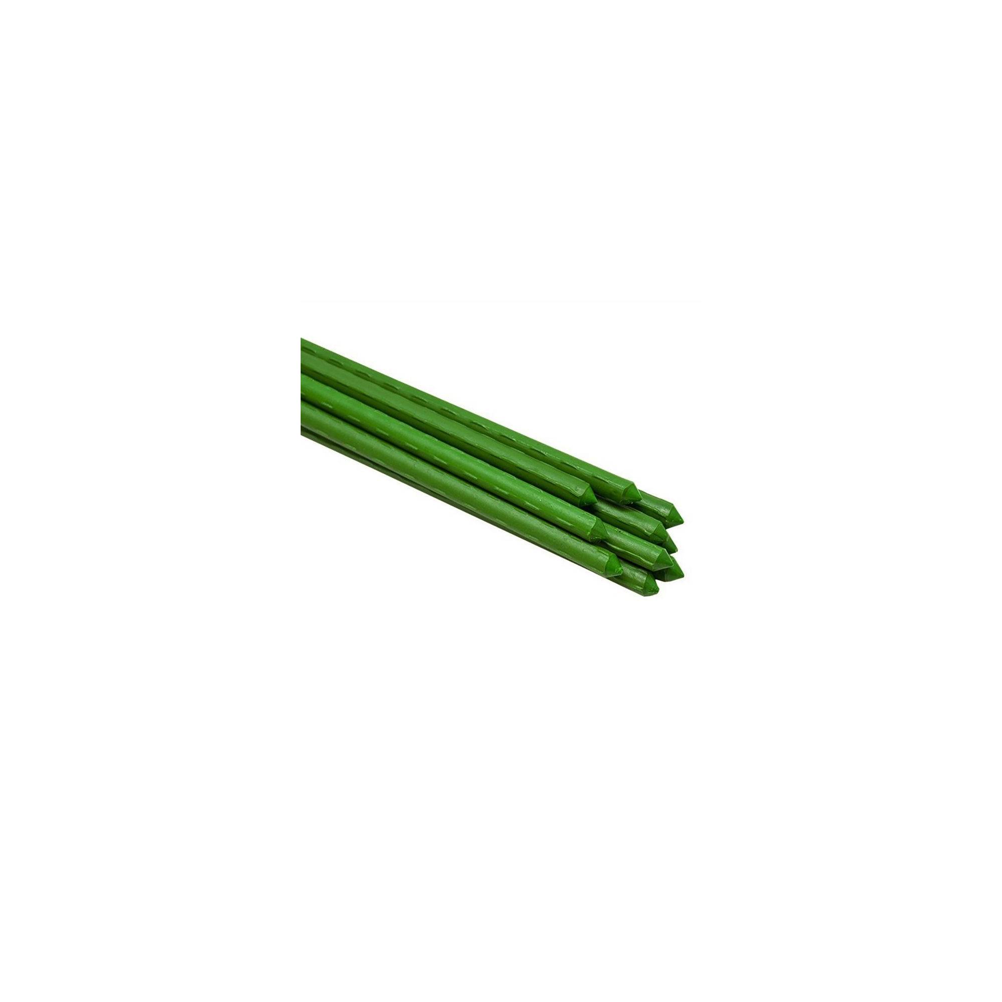 Sans Marque - Lot de 10 tuteurs pour plantes et légumes - En fer - Hauteur : 180 cm - Image 1