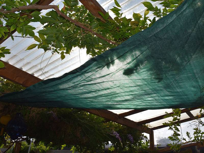 Maille Store - Voile d'ombrage - Vert - Forme triangle - 185g/m² Vert/Noir 2.5 x 2.5 x 3.5 - Imagen 1