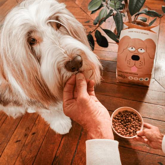 Croquettes aux insectes pour chien sénior 7,5kg - Tomojo - Imagen 3