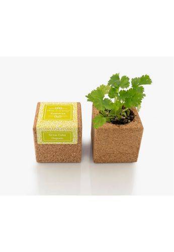 Life In A Bag - Life in a Bag - Grow Cube aimanté Coriandre