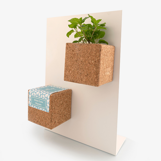 Life In A Bag - Life in a Bag - Grow Cube aimanté Coriandre - Image 3