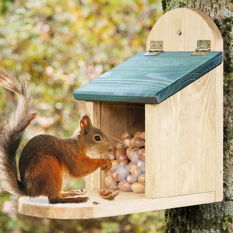 BB Loisir - Mangeoire Écureuil Distributeur de nourriture éxtérieur robuste en bois massif et vitre plexiglas de haute qualité"328 Écu"