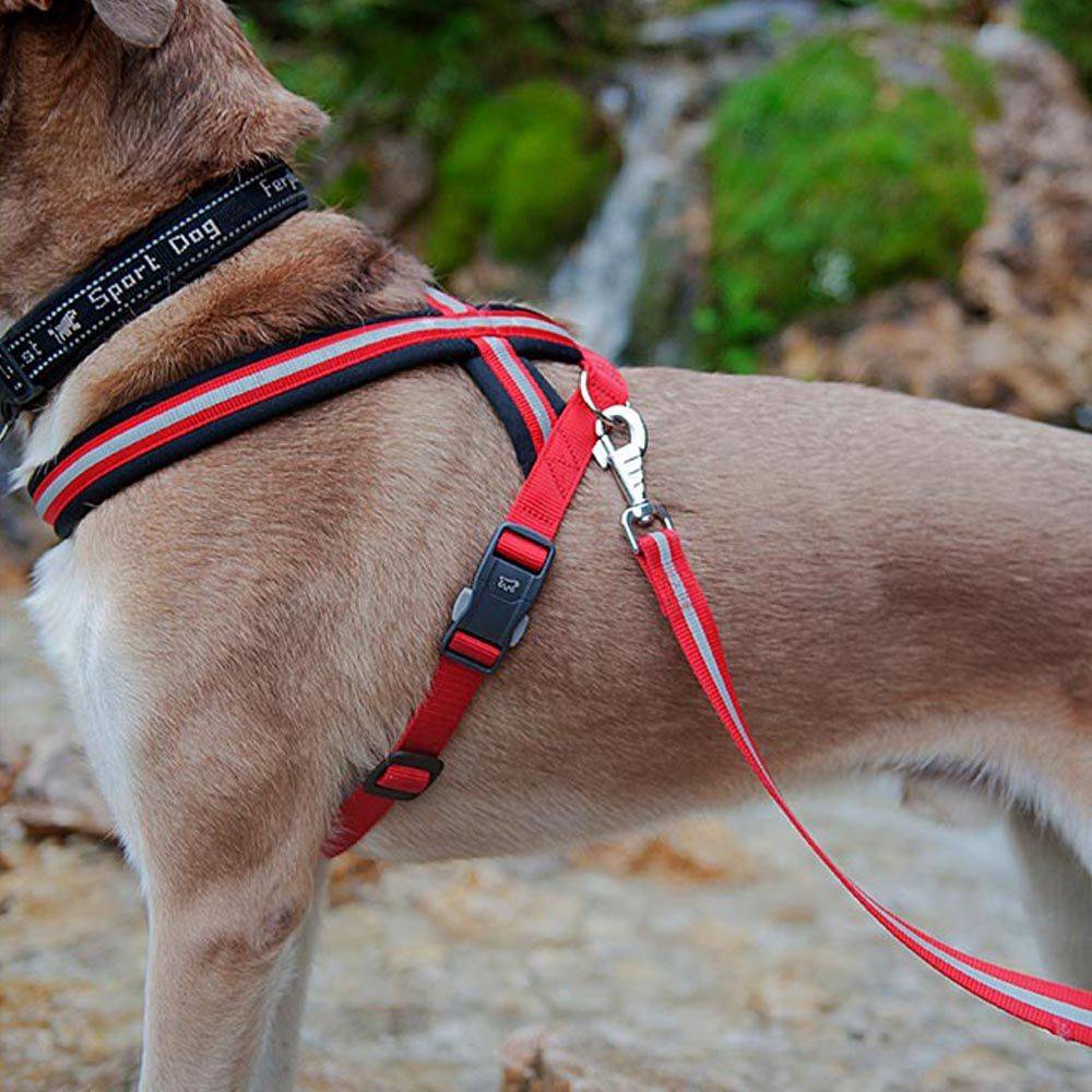 Ferplast - Harnais pour Chiens de Taille Moyenne à Grande DAYTONA CROSS M-L, Réfléchissant, avec Boucle Magnétique - Imagen 4