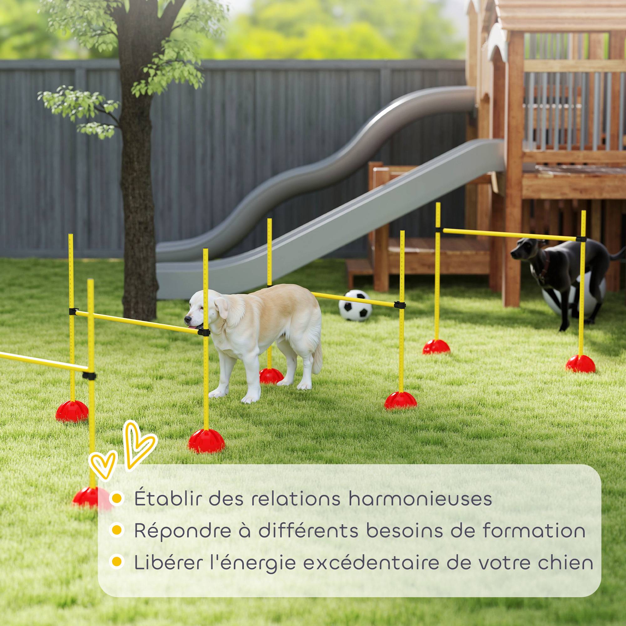 Kit d'agilité pour chien ABS jaune et orange 124 x 19.5 x 103 cm - PANGIVO - Image 10