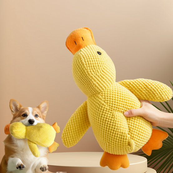 Canard Sonore Doudou pour Chien - Anti-Stress & Dentaire-Living123 - Image 3