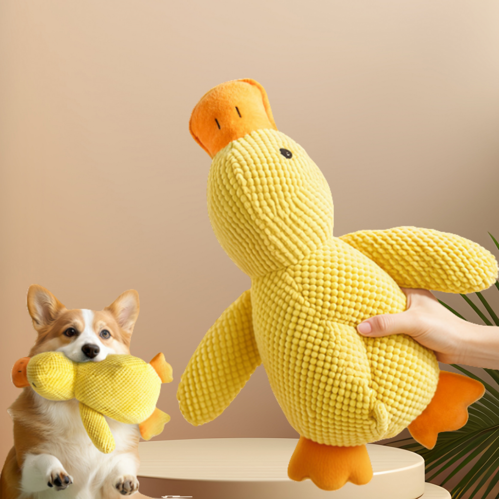 Canard Sonore Doudou pour Chien - Anti-Stress & Dentaire-Living123 - Image 3
