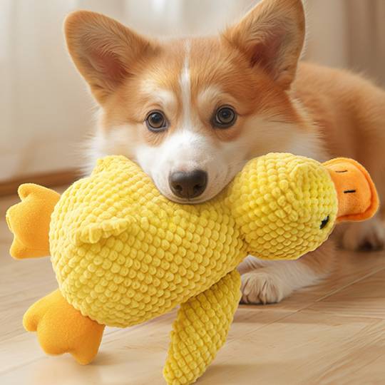 Canard Sonore Doudou pour Chien - Anti-Stress & Dentaire-Living123 - Image 5