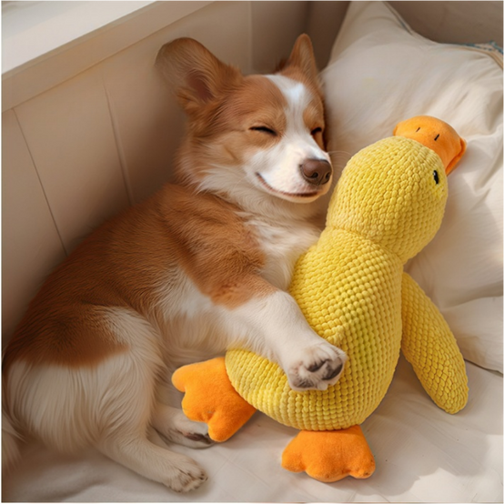 Canard Sonore Doudou pour Chien - Anti-Stress & Dentaire-Living123 - Image 4