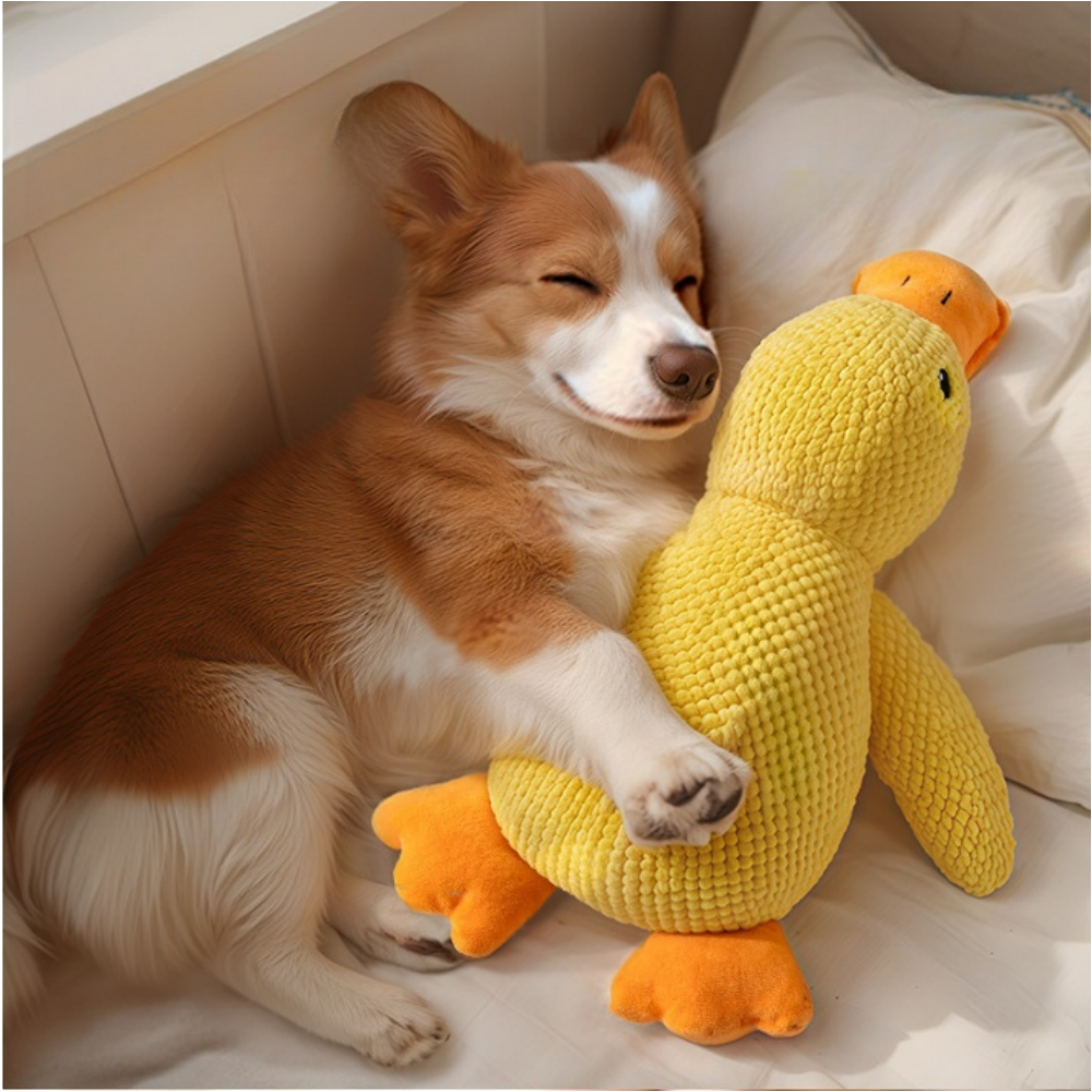 Canard Sonore Doudou pour Chien - Anti-Stress & Dentaire-Living123 - Image 4
