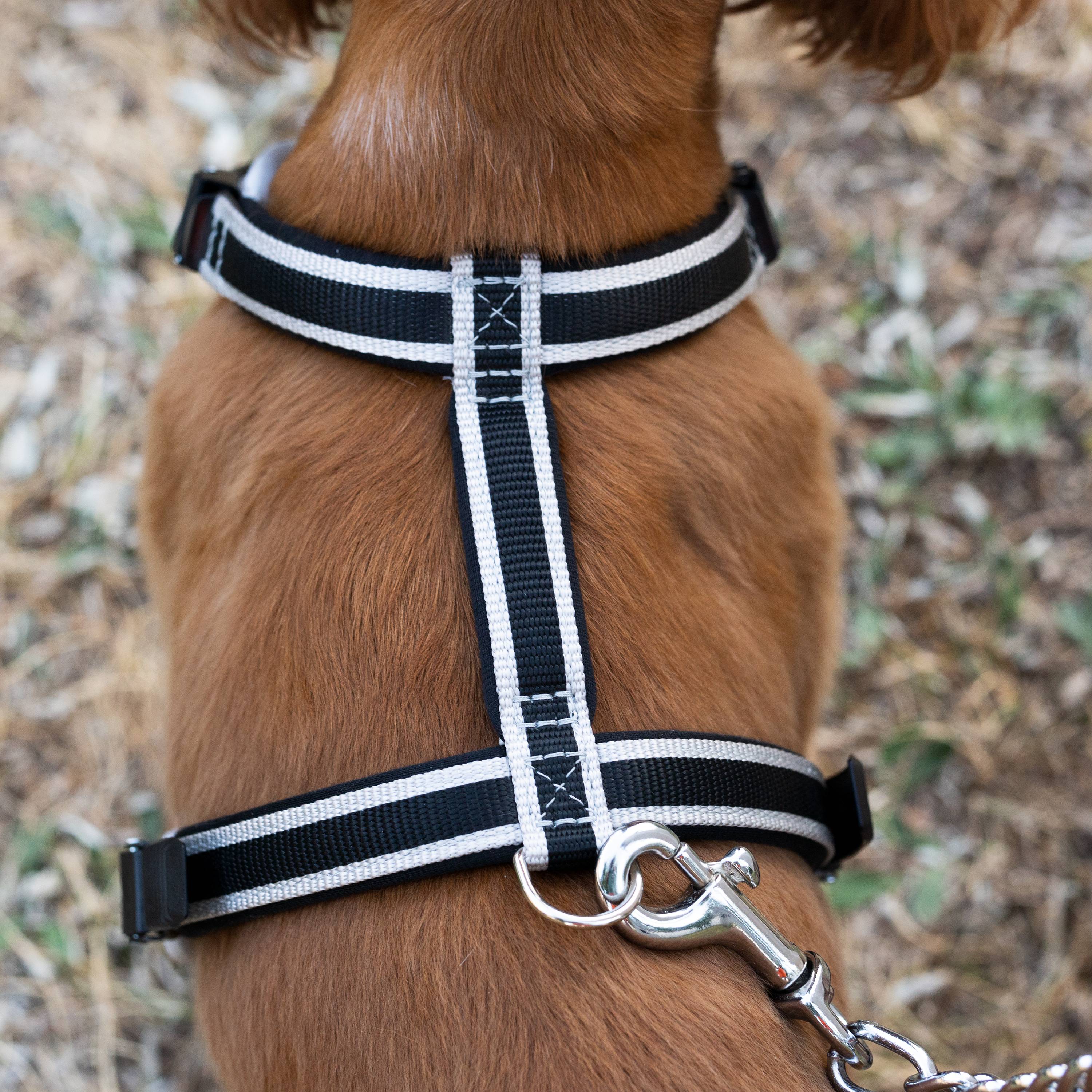 Ferplast - Ferplast Arnés para perro de tamaño mediano ERGOCOMFORT MEDIUM, Arnés para perro ajustable, Cómodo, Acolchado, Cierre doble - Imagen 4