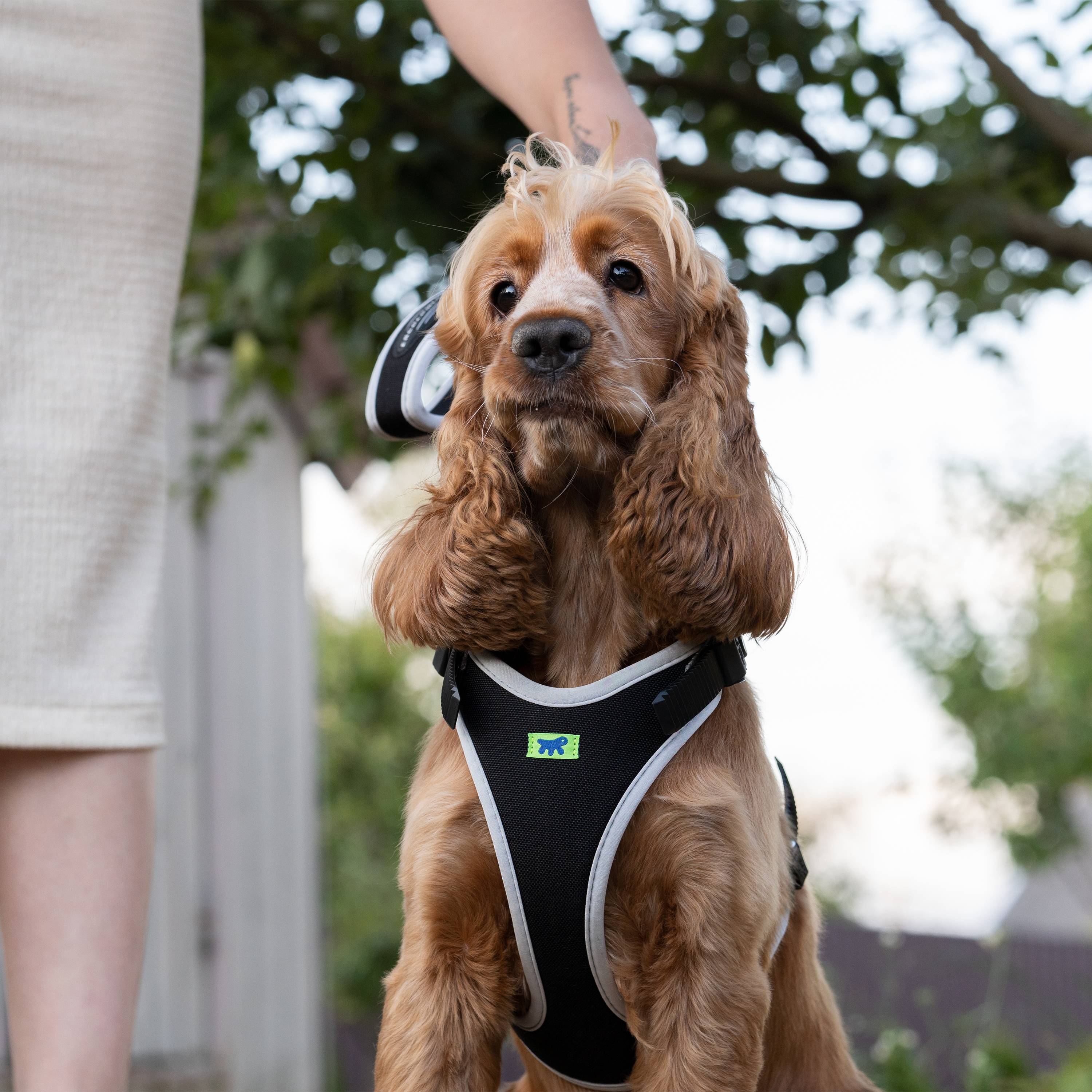 Ferplast - Ferplast Arnés para perro de tamaño mediano ERGOCOMFORT MEDIUM, Arnés para perro ajustable, Cómodo, Acolchado, Cierre doble - Imagen 3