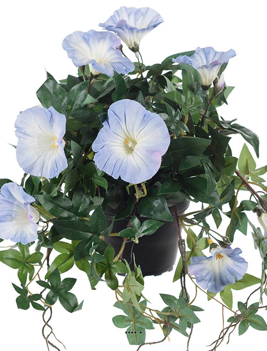 Artificielles - Ipomée liseron factice retombant en pot H40cm belles fleurs Bleu ciel - couleur: Bleu ciel - Imagen 3