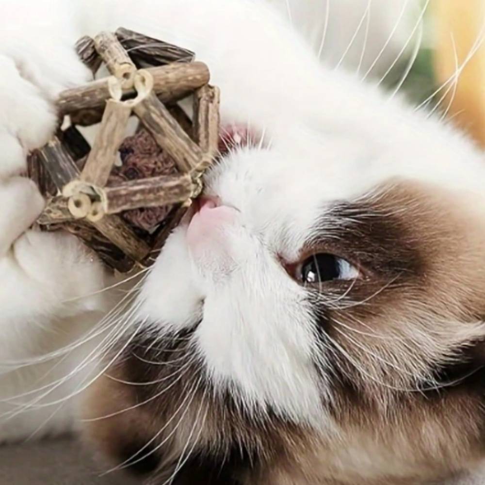 IntiMeg - Jouet pour chat avec clochette et balle Moyen IntiMeg - Image 4