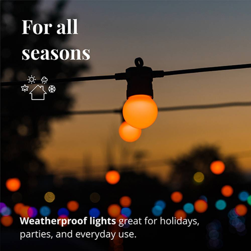 Festoon – Guirlande de Lumières à Ampoules LED Contrôlées par une Application avec 20 LED RGB. 10 Mètres. - Image 2