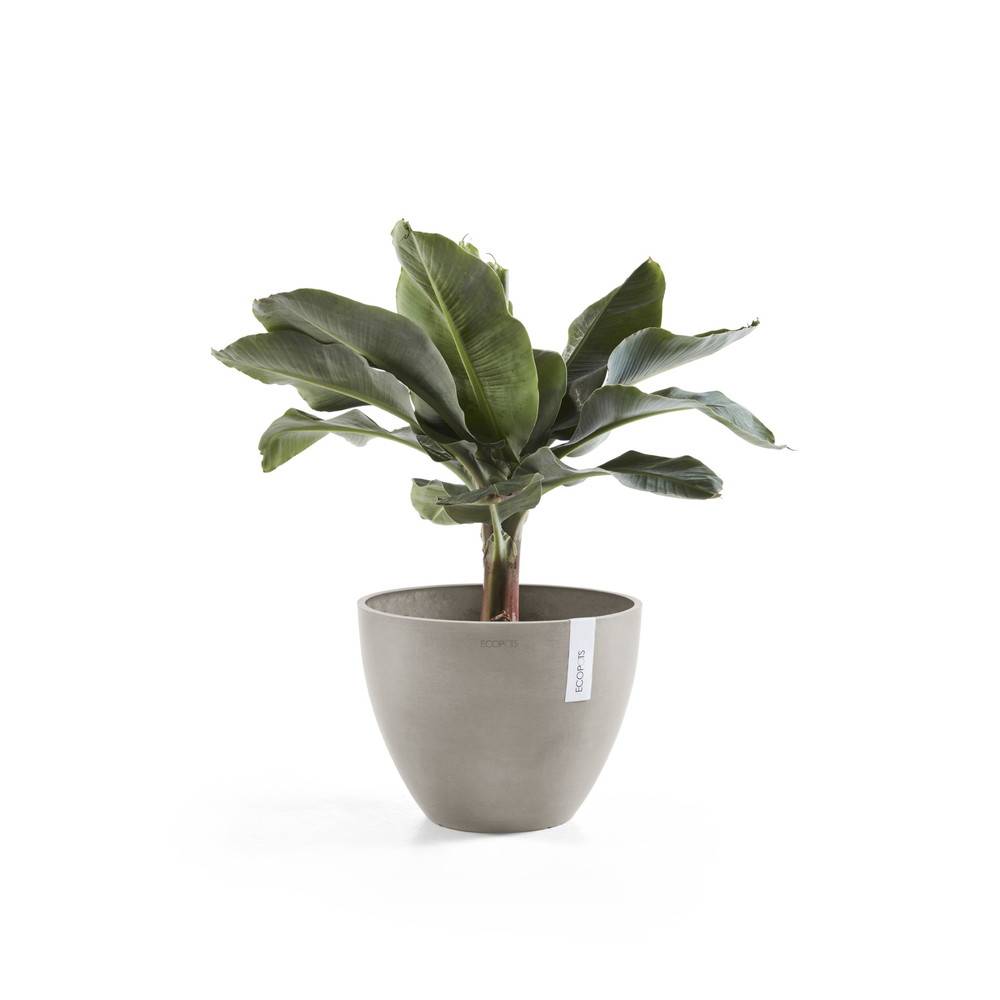 Ecopots - Pot Rond Antwerp 30 Taupe - Ø 30 x H. 25,5 cm - 11,4 L ECOPOTS - Imagen 2