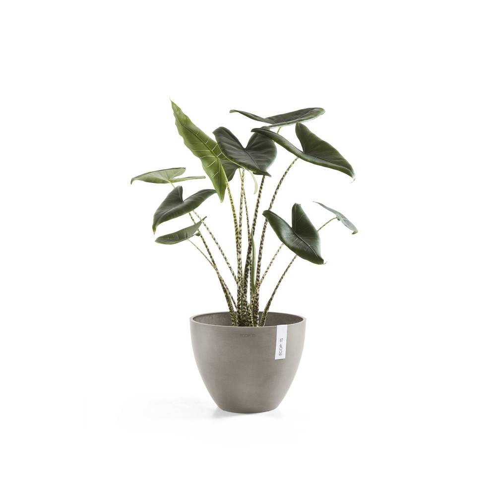 Ecopots - Pot Rond Antwerp 30 Taupe - Ø 30 x H. 25,5 cm - 11,4 L ECOPOTS - Imagen 3
