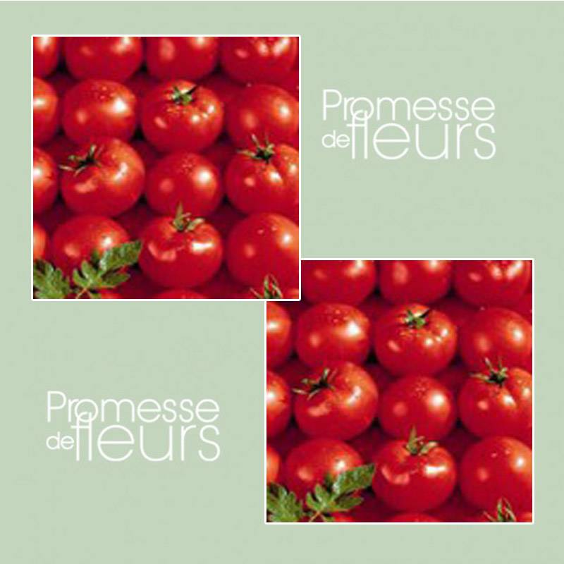 Tomate Estiva F1 le sachet de 25 graines environ (0,1g)