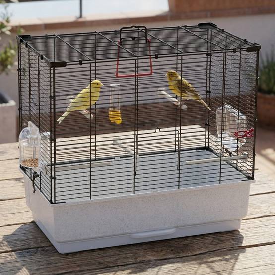 Ferplast - Ferplast Cage Oiseau PIANO 4, Cage Canari Oiseaux, avec Mangeoires, Abreuvoir pour Oiseaux, 59 x 33 x h 55 cm, avec Accessoires, Plateau Amovible - Imagen 4