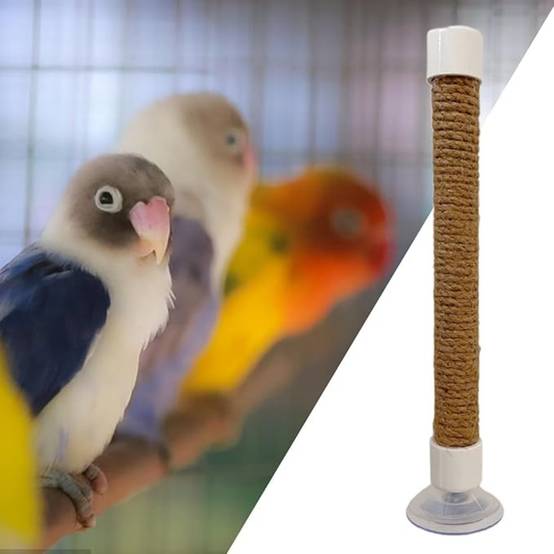 DtopbuyAge - Perchoir Ventouse Accessoire Oiseaux - Image 3