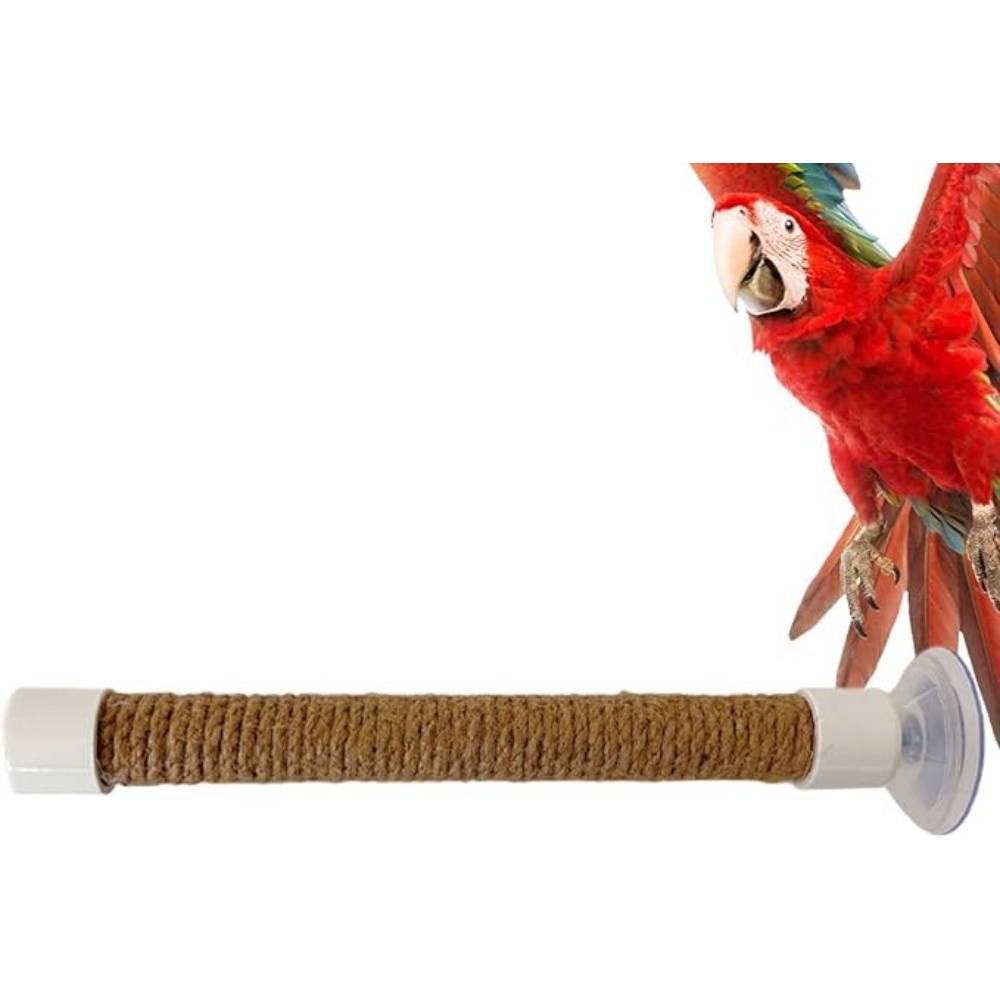 DtopbuyAge - Perchoir Ventouse Accessoire Oiseaux - Image 1