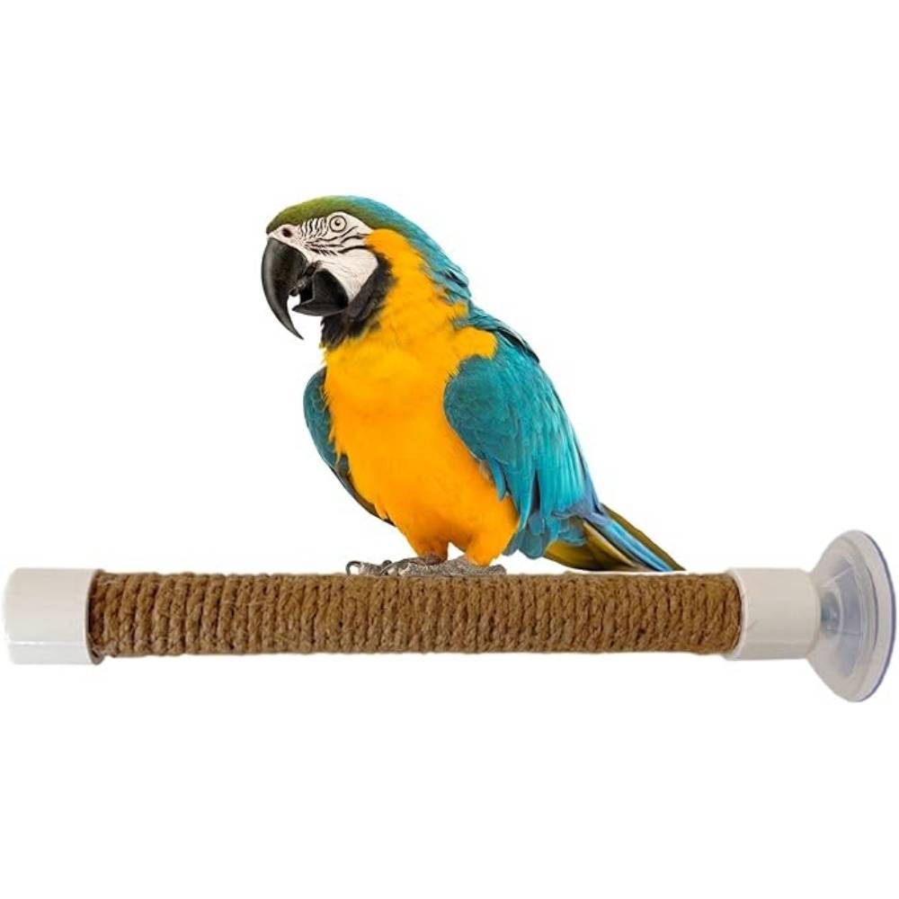 DtopbuyAge - Perchoir Ventouse Accessoire Oiseaux - Image 5