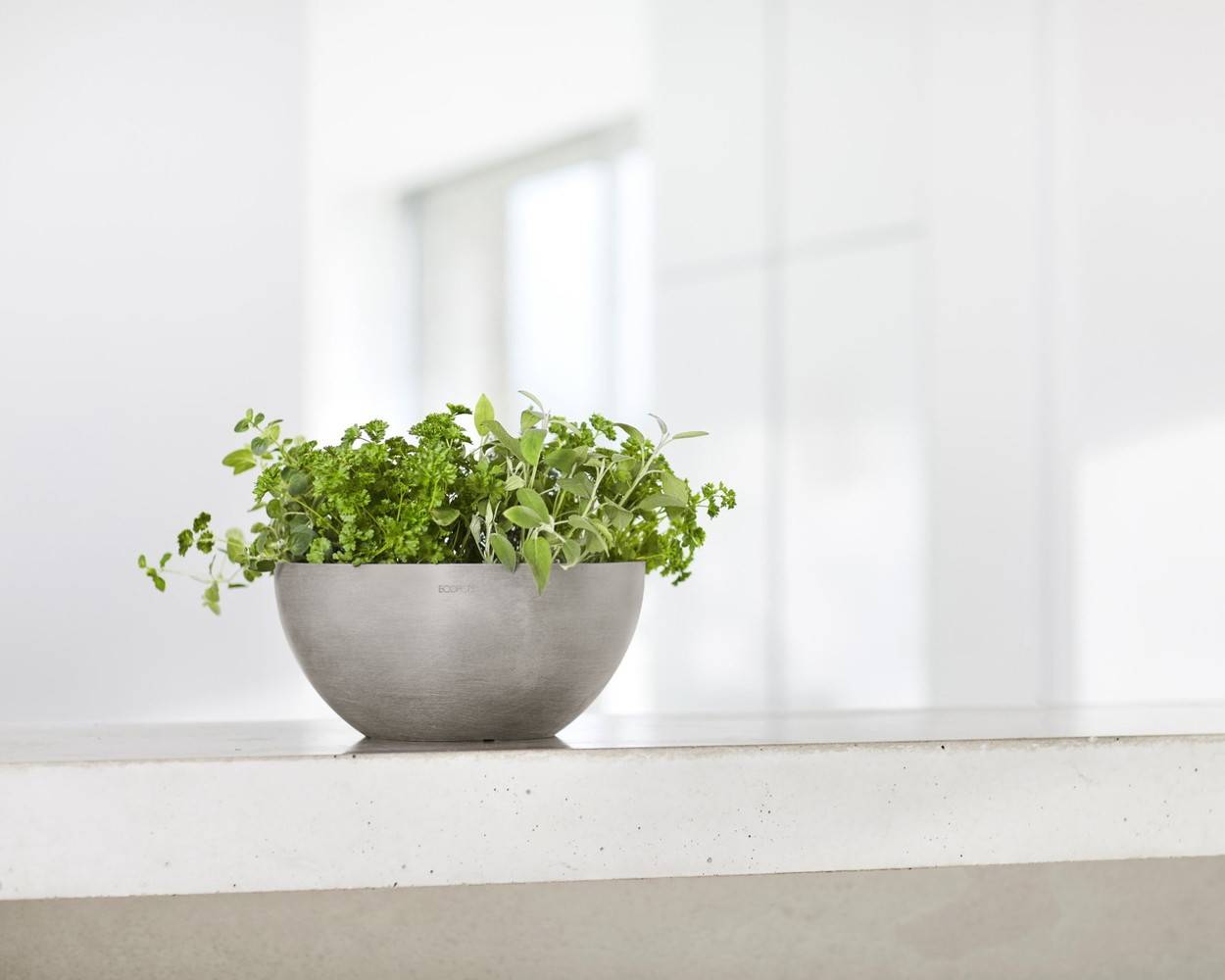Ecopots - Pot Rond Brussels 25 Taupe - Ø 25 x H. 12 cm - 3,6 L ECOPOTS - Imagen 5