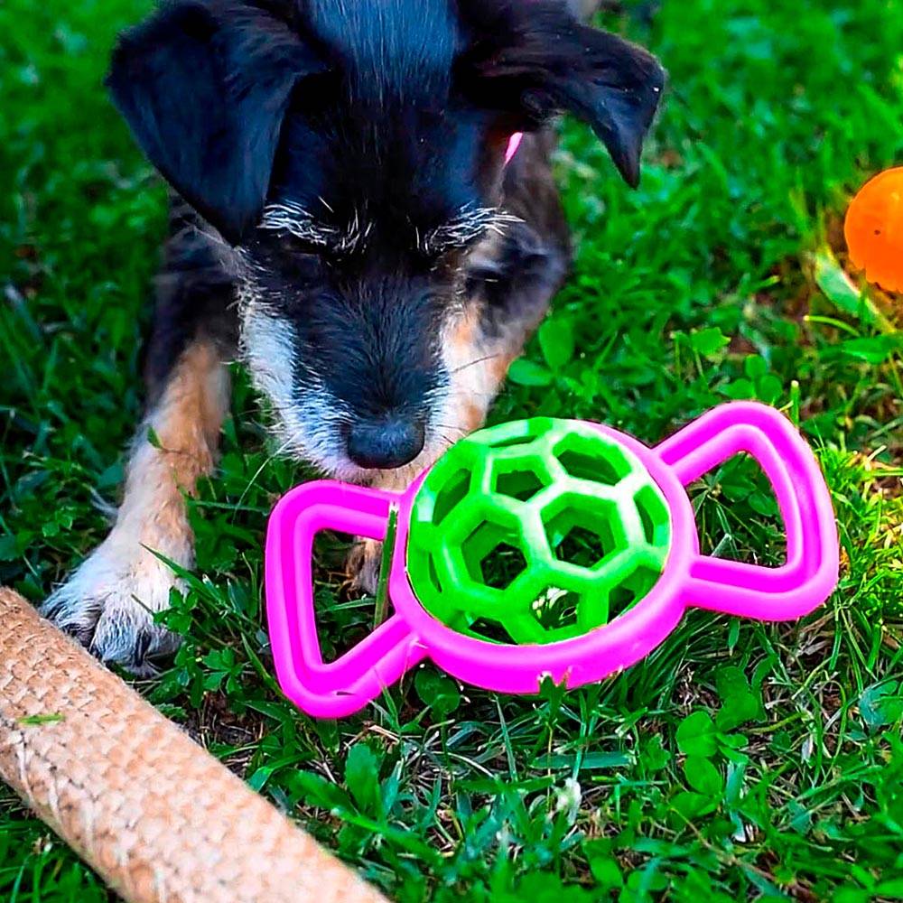 Ferplast - Jouet pour Chiens en Forme de Bonbon, PA 6352, en Caoutchouc Thermoplastique, avec Cloche Interne - Imagen 3