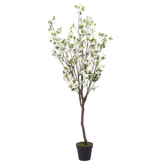 Cerisier Superba 200 cm blanc - Image 1
