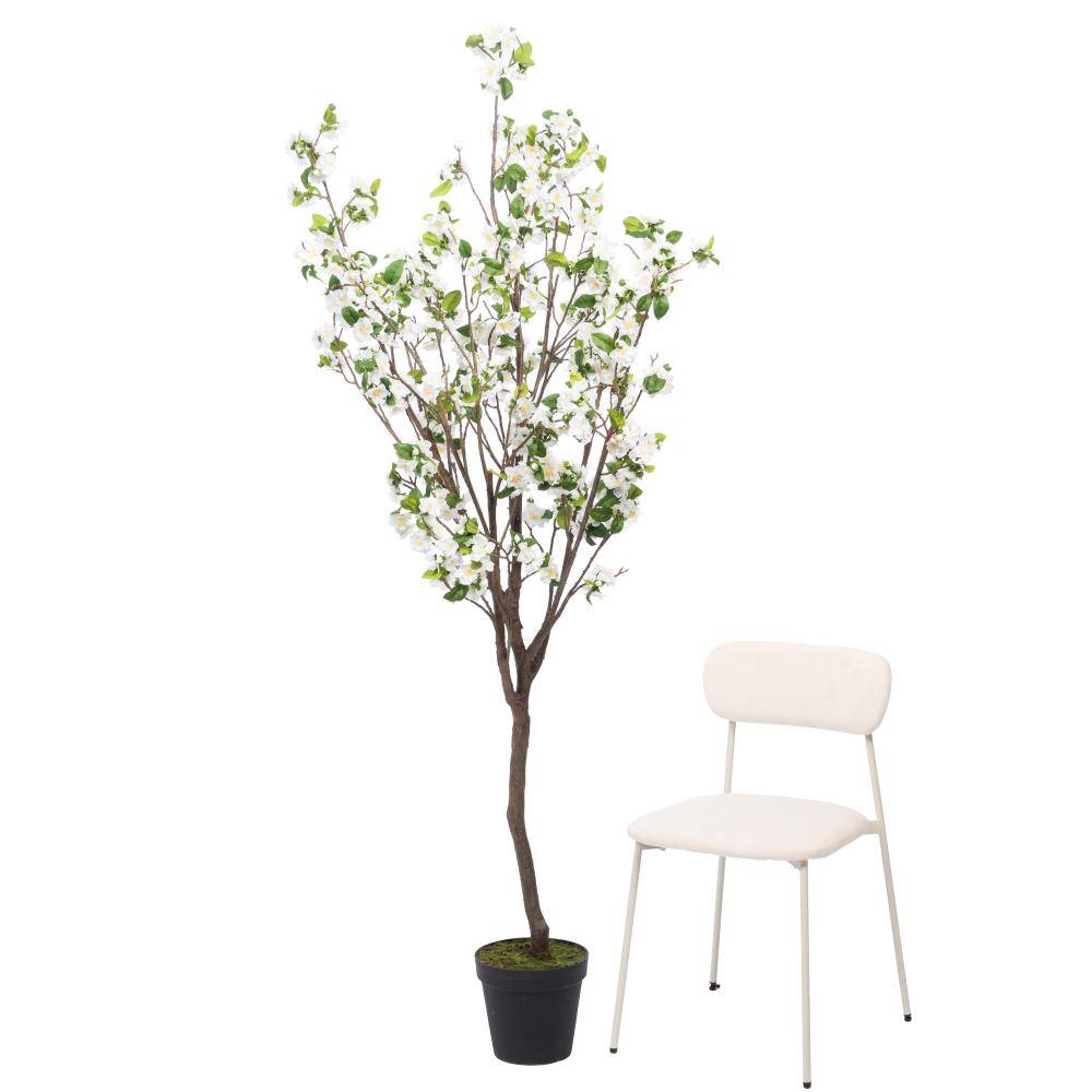 Cerisier Superba 200 cm blanc - Image 2